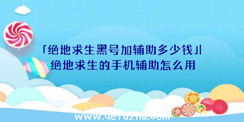 「绝地求生黑号加辅助多少钱」|绝地求生的手机辅助怎么用